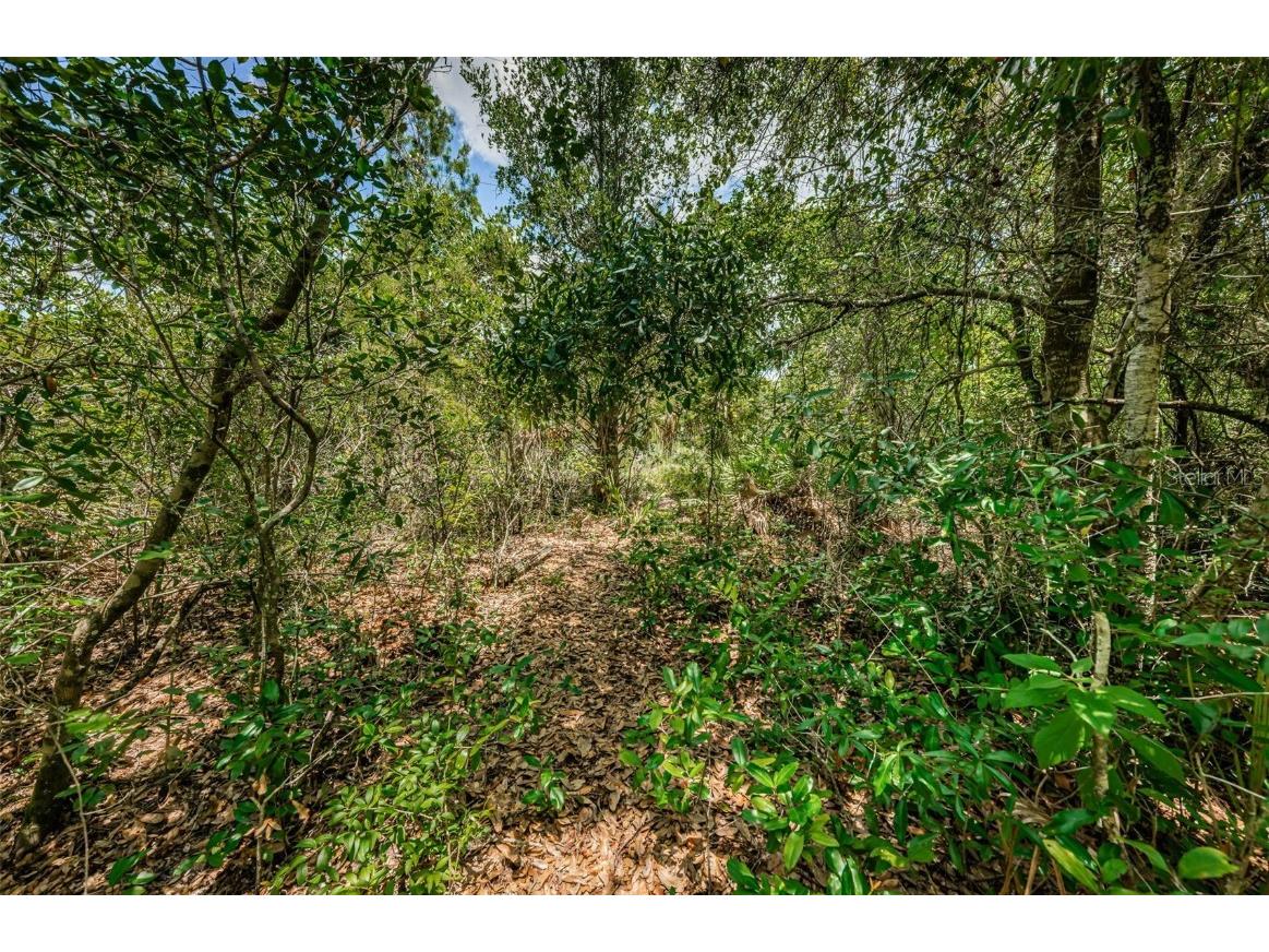 2271 Keystone Road Tarpon Springs FL 34688 T3543701 image49