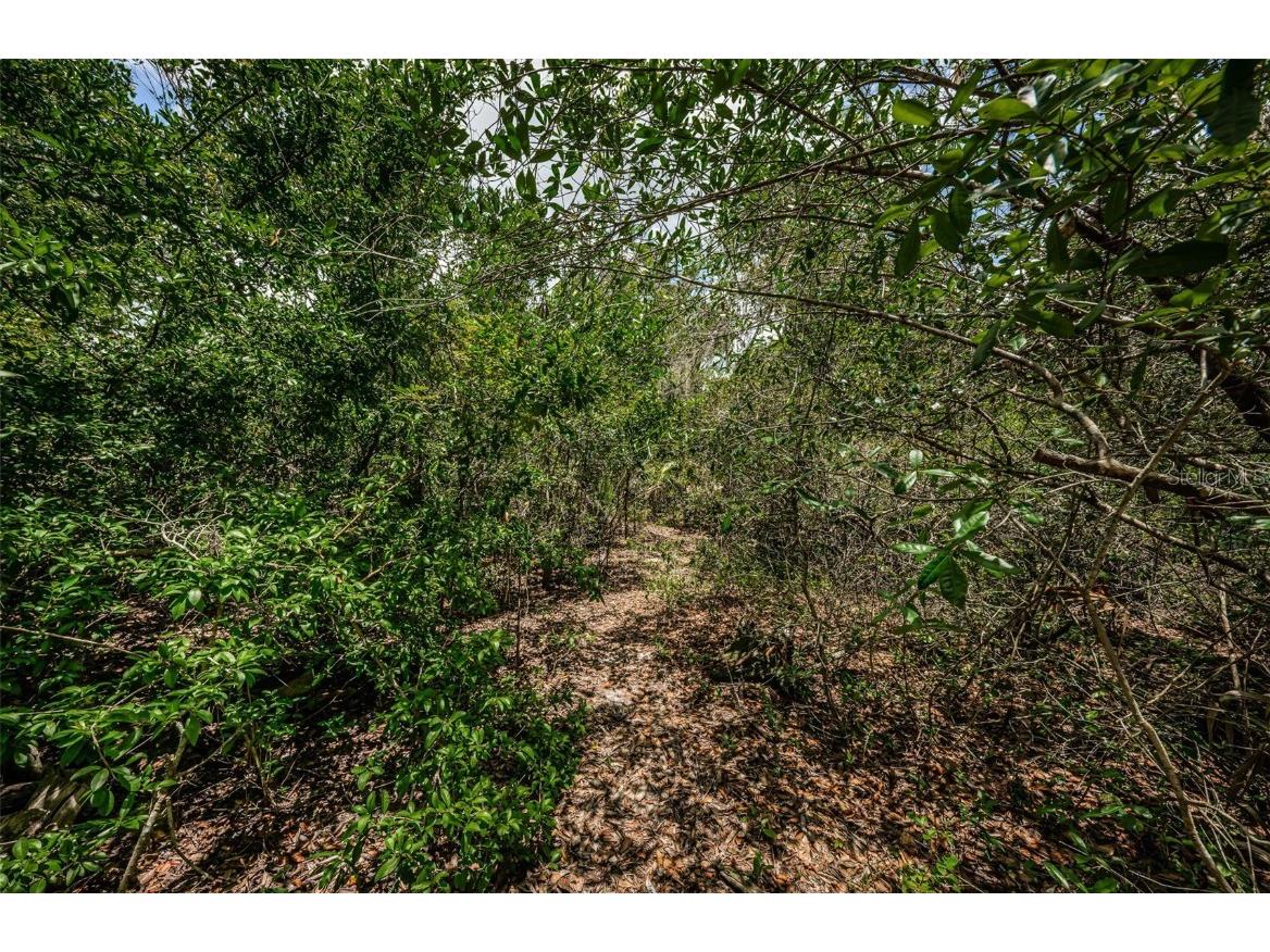 2271 Keystone Road Tarpon Springs FL 34688 T3543701 image50