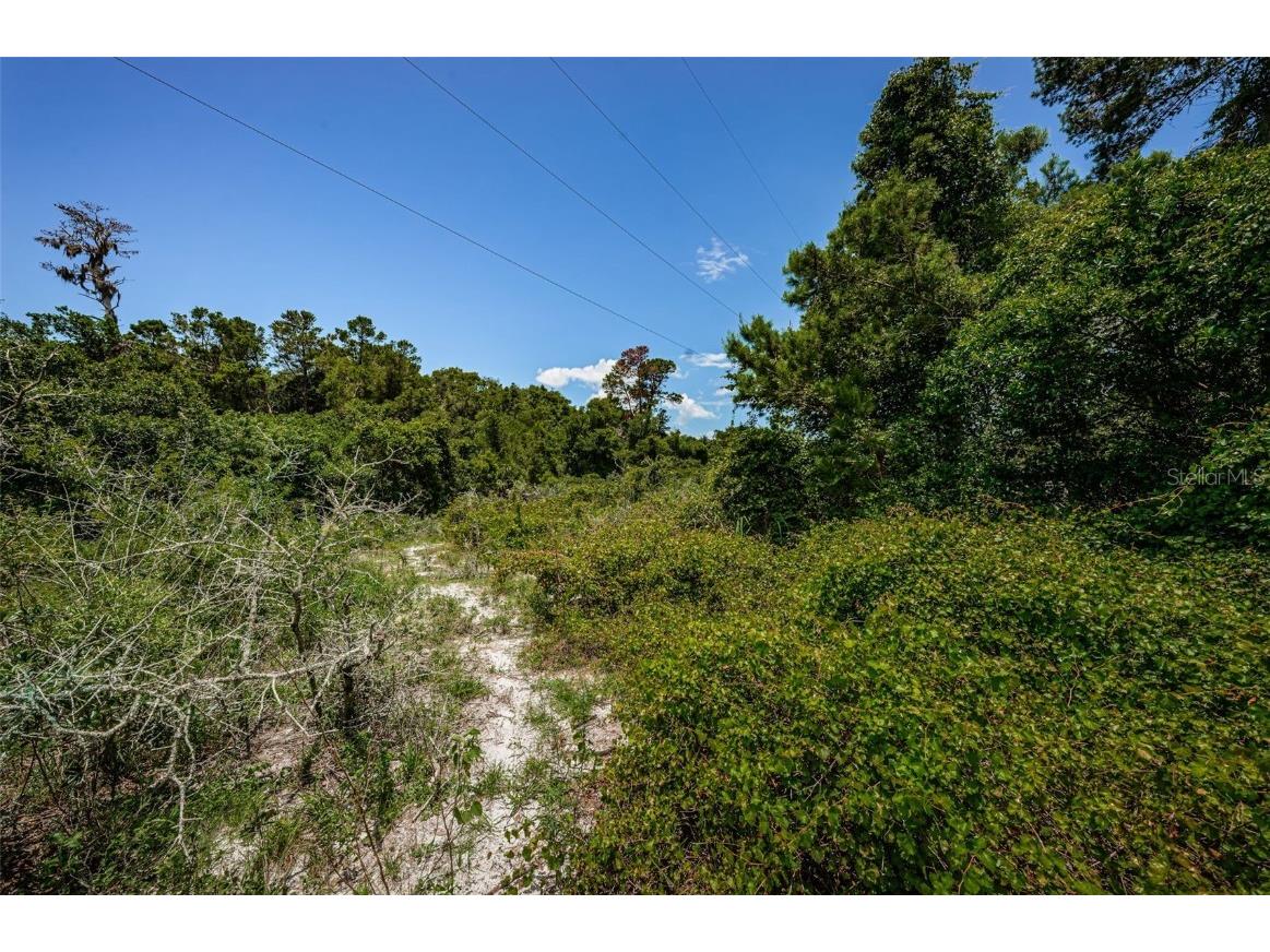 2271 Keystone Road Tarpon Springs FL 34688 T3543701 image51