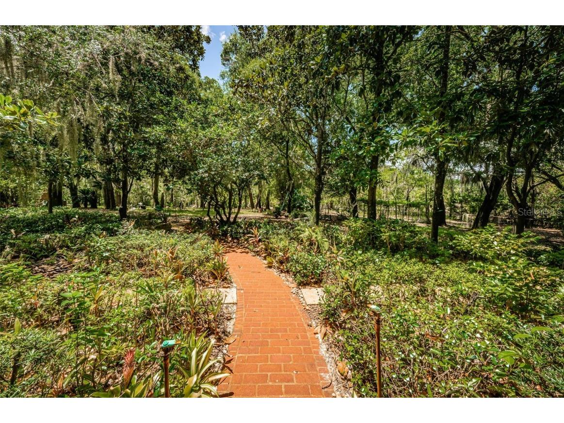 2271 Keystone Road Tarpon Springs FL 34688 T3543701 image55