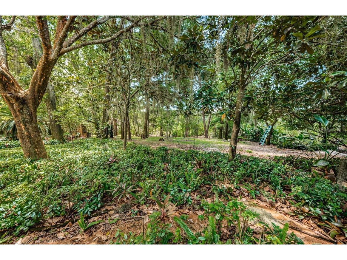 2271 Keystone Road Tarpon Springs FL 34688 T3543701 image57