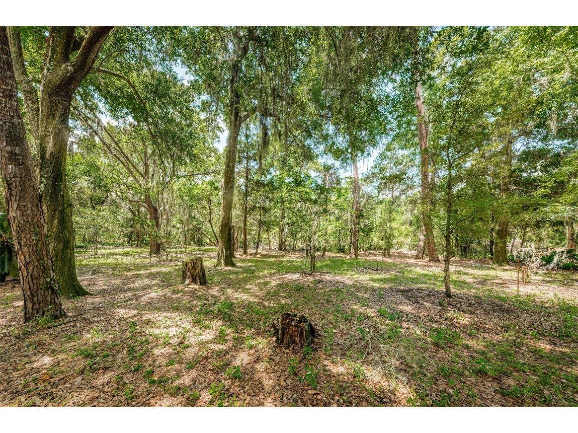 2271 Keystone Road Tarpon Springs FL 34688 T3543701 image58