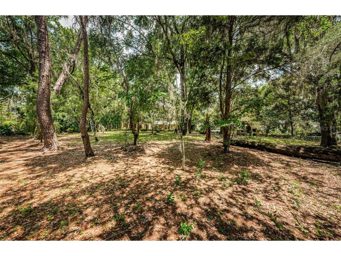 2271 Keystone Road Tarpon Springs FL 34688 T3543701 image59