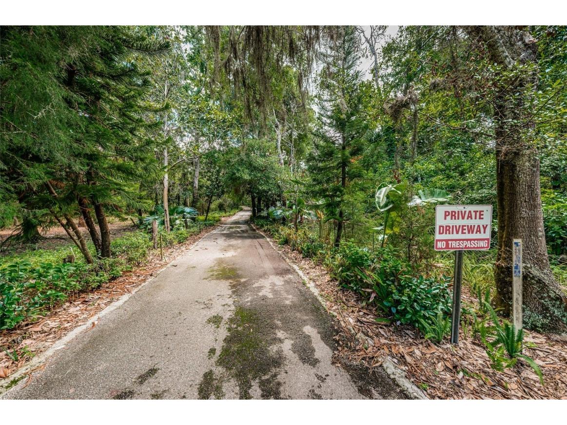 2271 Keystone Road Tarpon Springs FL 34688 T3543701 image6