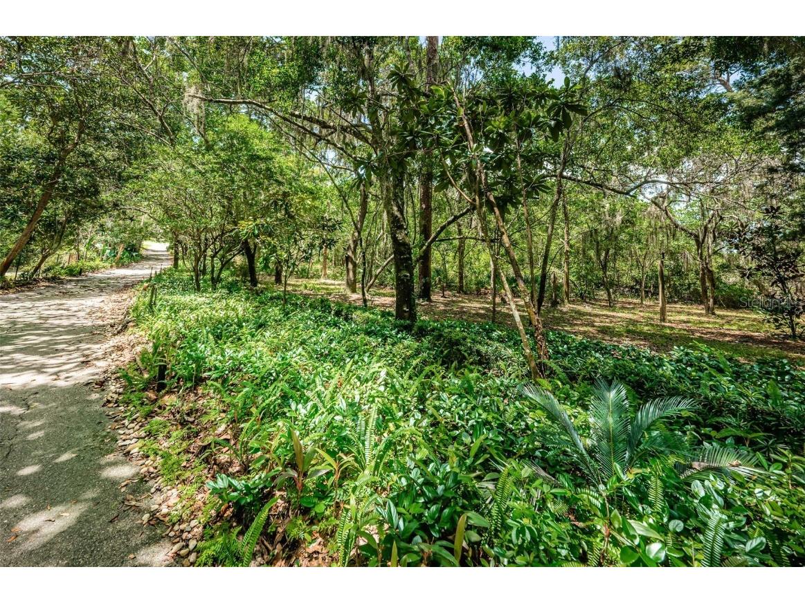 2271 Keystone Road Tarpon Springs FL 34688 T3543701 image7