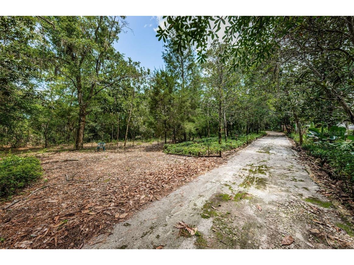 2271 Keystone Road Tarpon Springs FL 34688 T3543701 image8