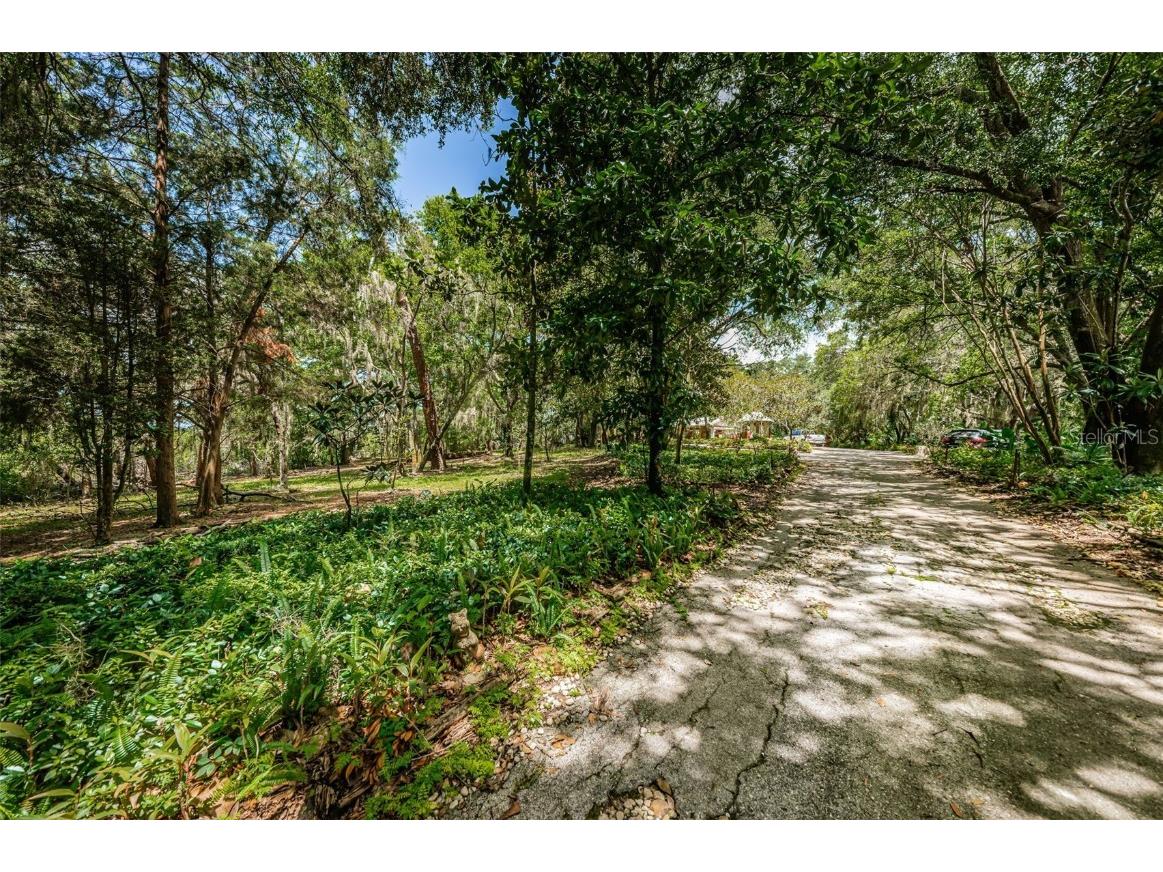 2271 Keystone Road Tarpon Springs FL 34688 T3543701 image9