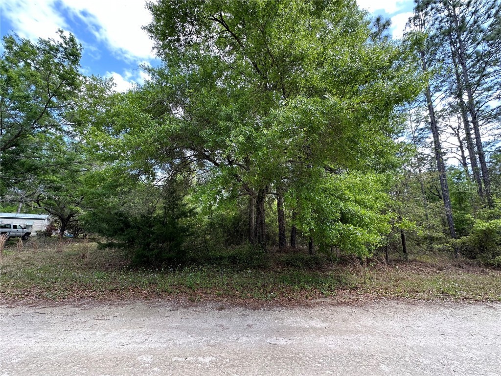 2271 SE 140th Avenue Morriston FL 32668 OM675512 image1