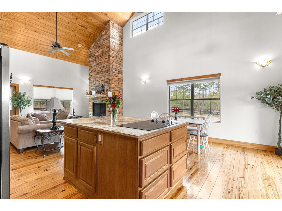 2271 SE 147th Avenue Morriston FL 32668 OM722489 image21