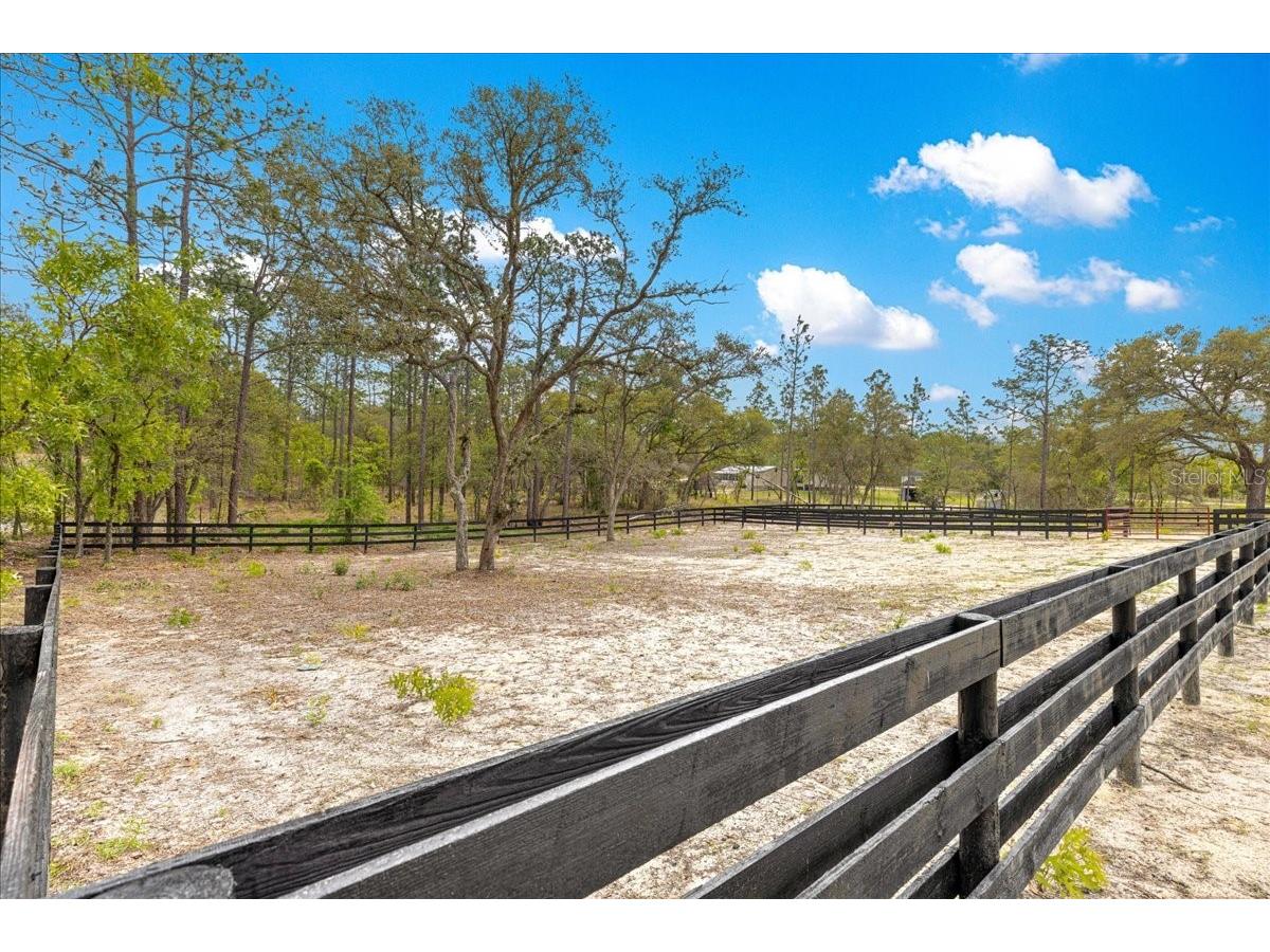 2271 SE 147th Avenue Morriston FL 32668 OM722489 image46