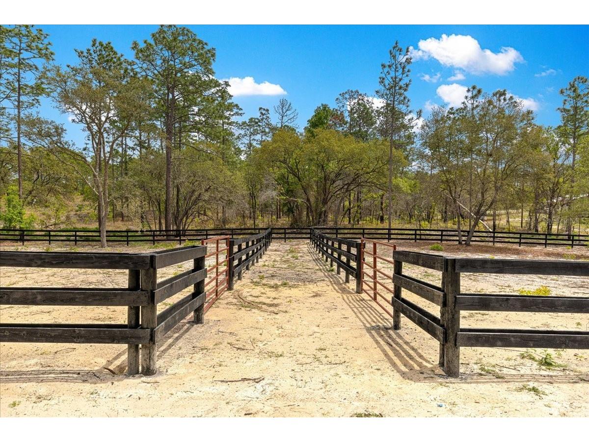 2271 SE 147th Avenue Morriston FL 32668 OM722489 image49