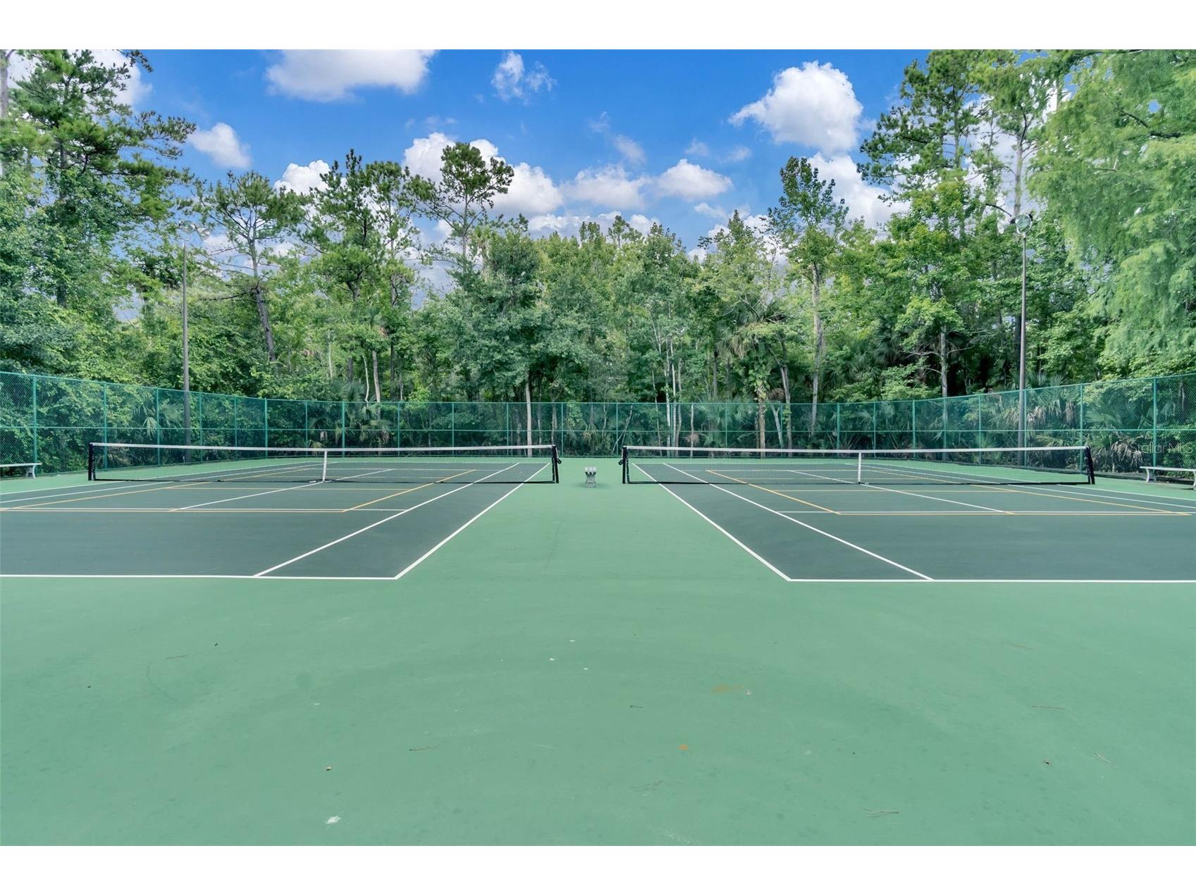 2271 Springs Landing Boulevard Longwood FL 32779 O6408106 image57