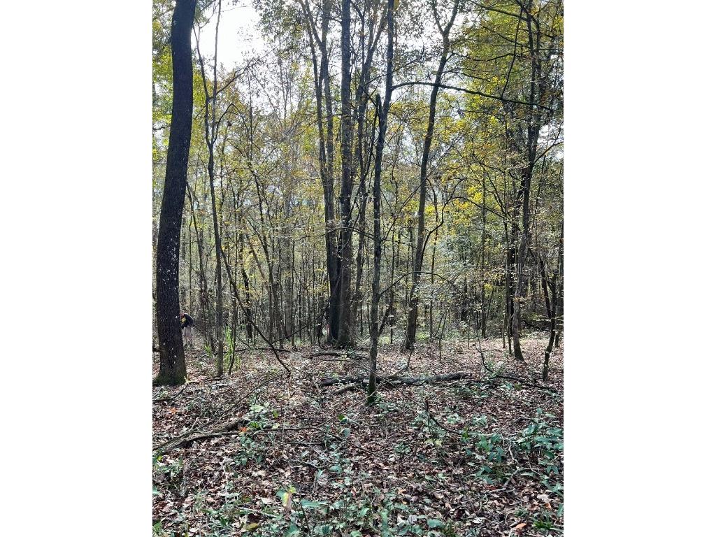 22715 NW County Road 241 Alachua FL 32615 GC518699 image1