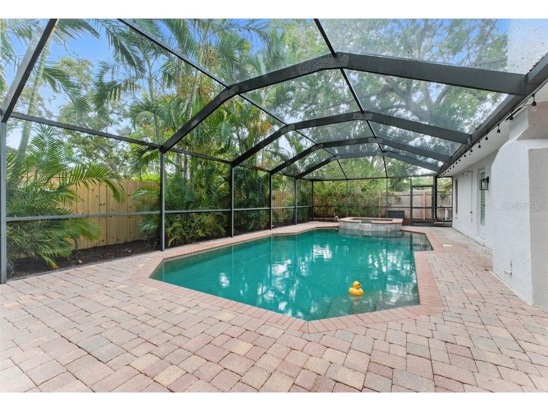 2272 Adam Court Palm Harbor FL 34683 TB8396423 image44