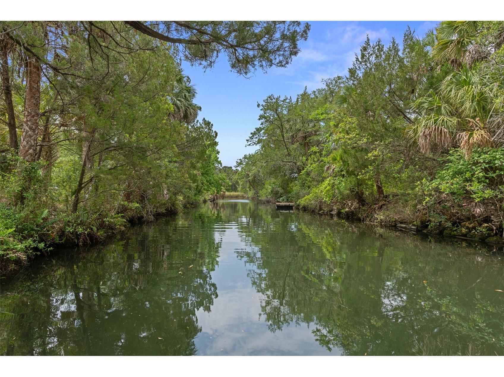 2272 S Todd Point Homosassa FL 34448 - HALLS RIVER HOMOSASSA RIVER W7885650 image40