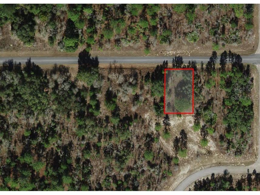 2272 W Chamberlain Street Dunnellon FL 34434 O6365414 image2