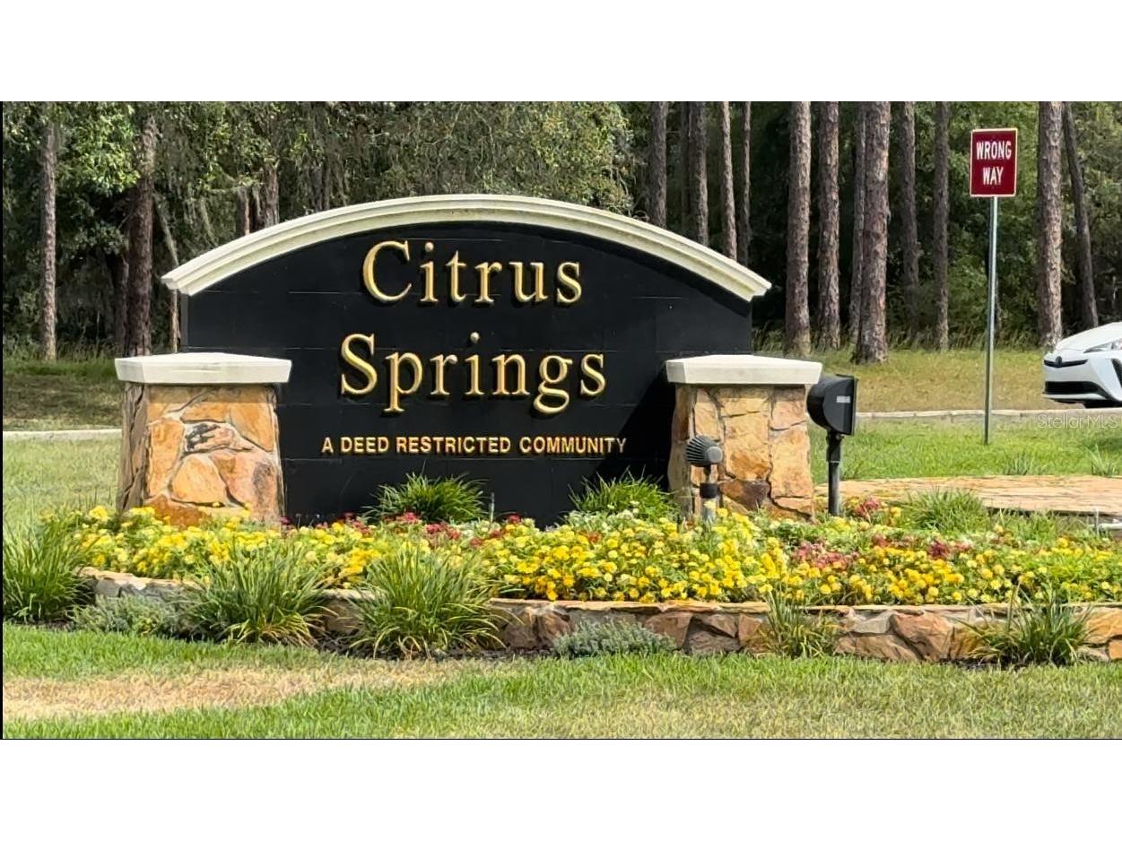 2272 W Chamberlain Street Dunnellon FL 34434 O6365414 image4