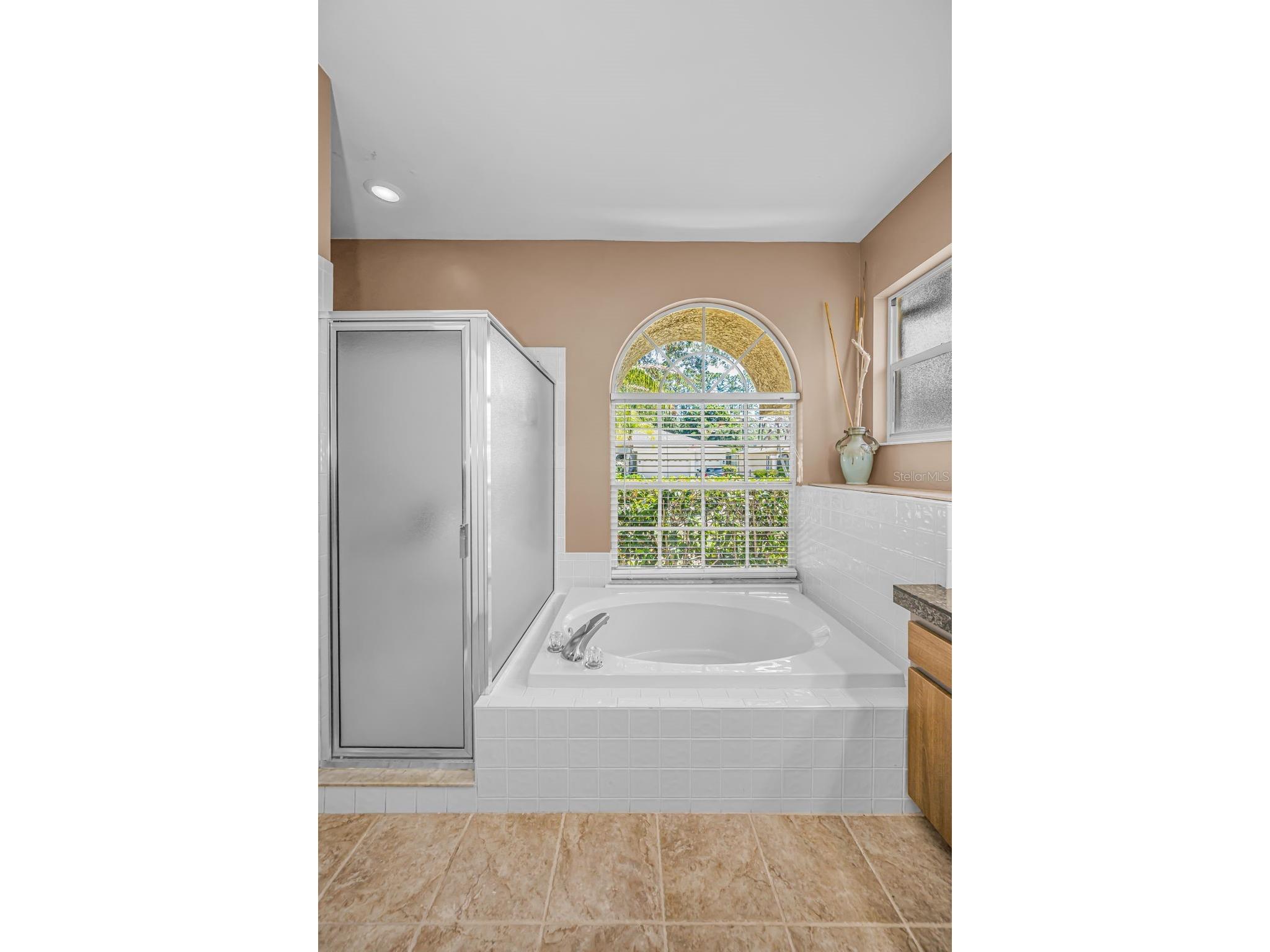 2272 Warwick Drive Oldsmar FL 34677 TB8502055 image21