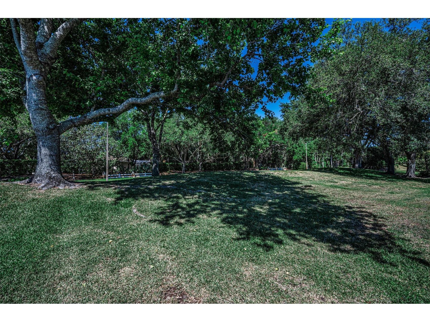 2272 Warwick Drive Oldsmar FL 34677 TB8502055 image34
