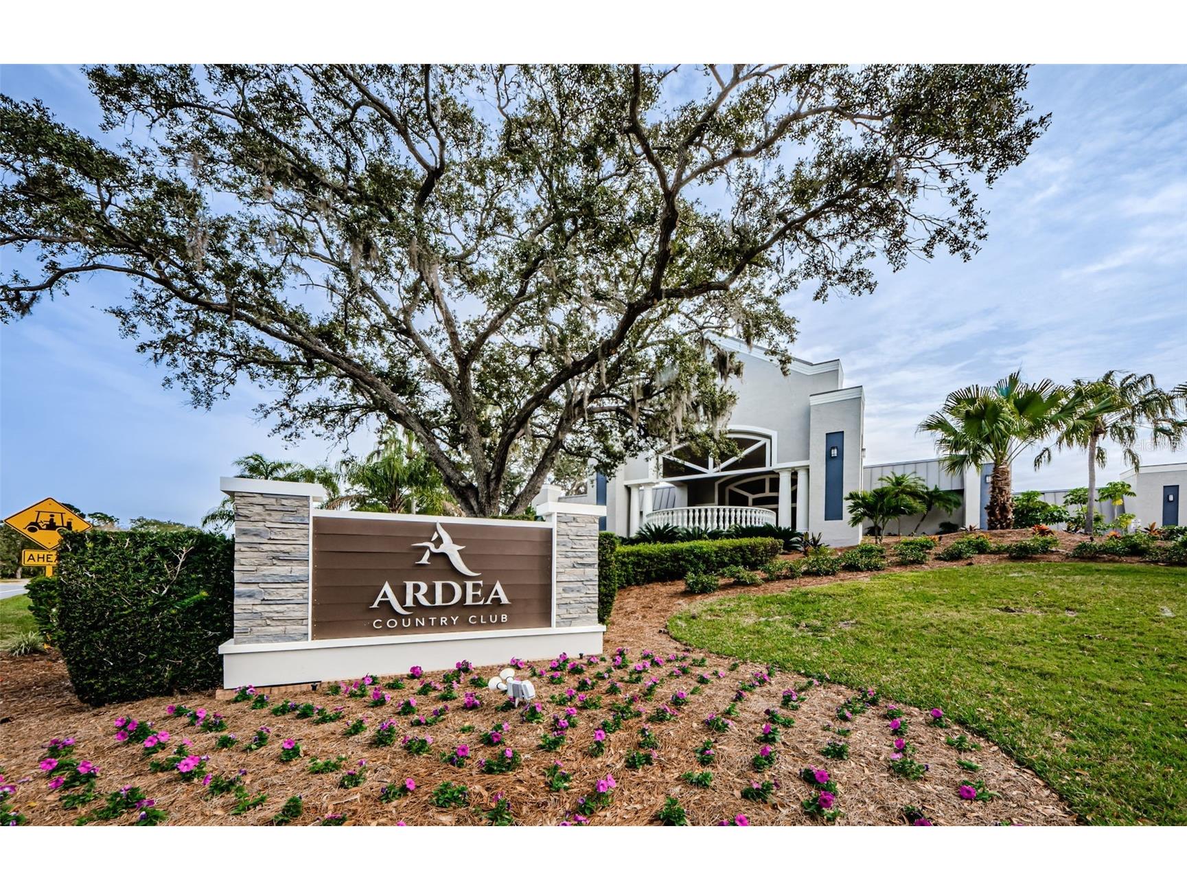 2272 Warwick Drive Oldsmar FL 34677 TB8502055 image35