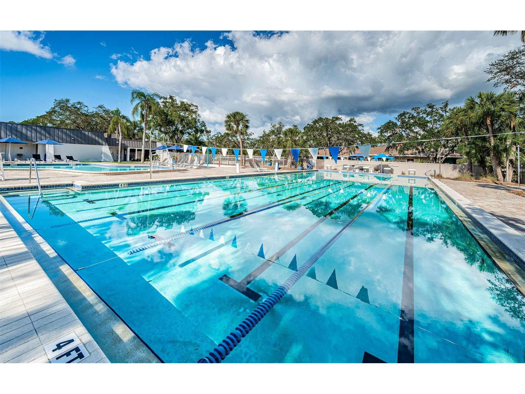 2272 Warwick Drive Oldsmar FL 34677 TB8502055 image44