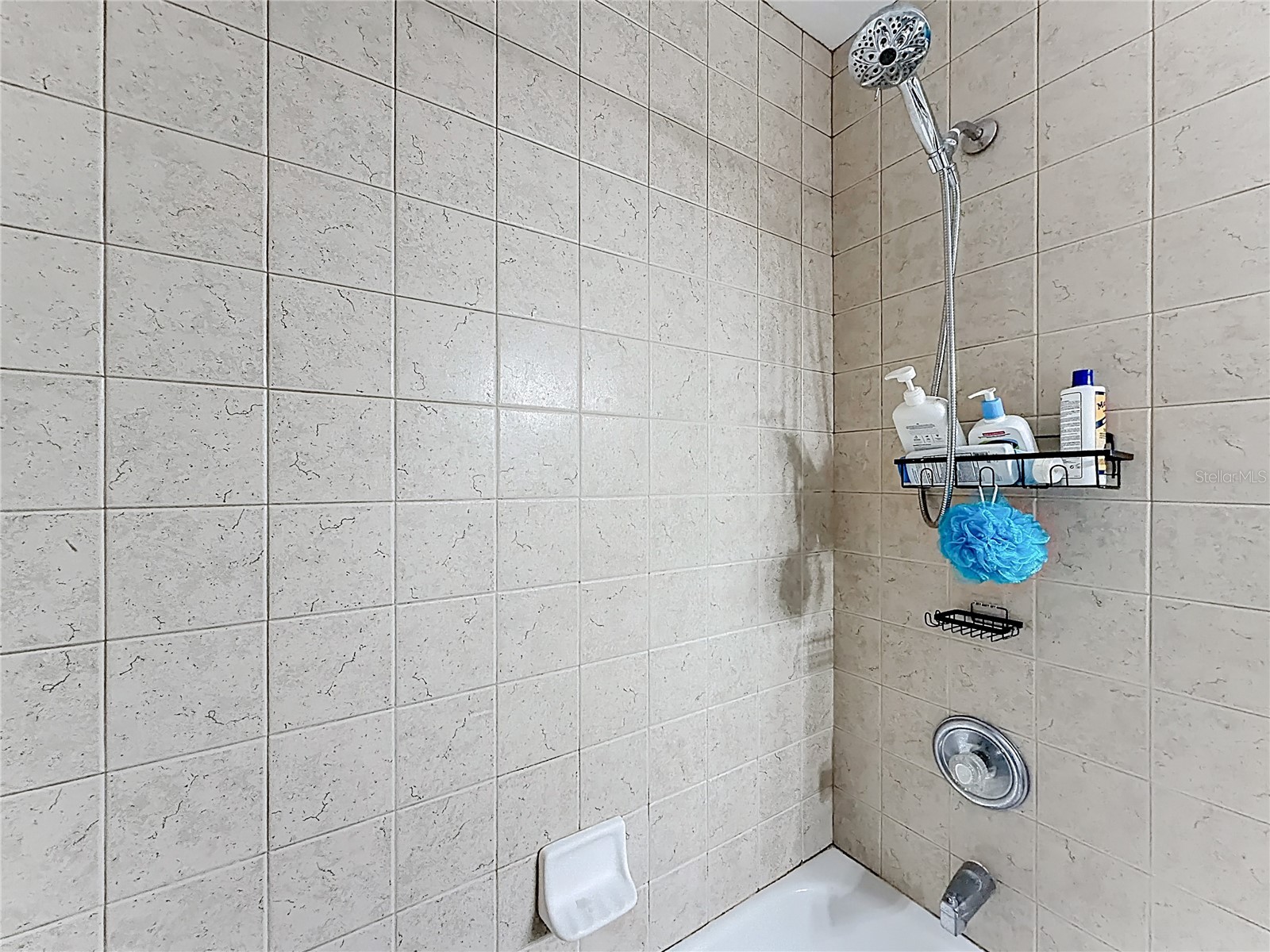 2272 Wekiva Village Lane Apopka FL 32703 S5146420 image35