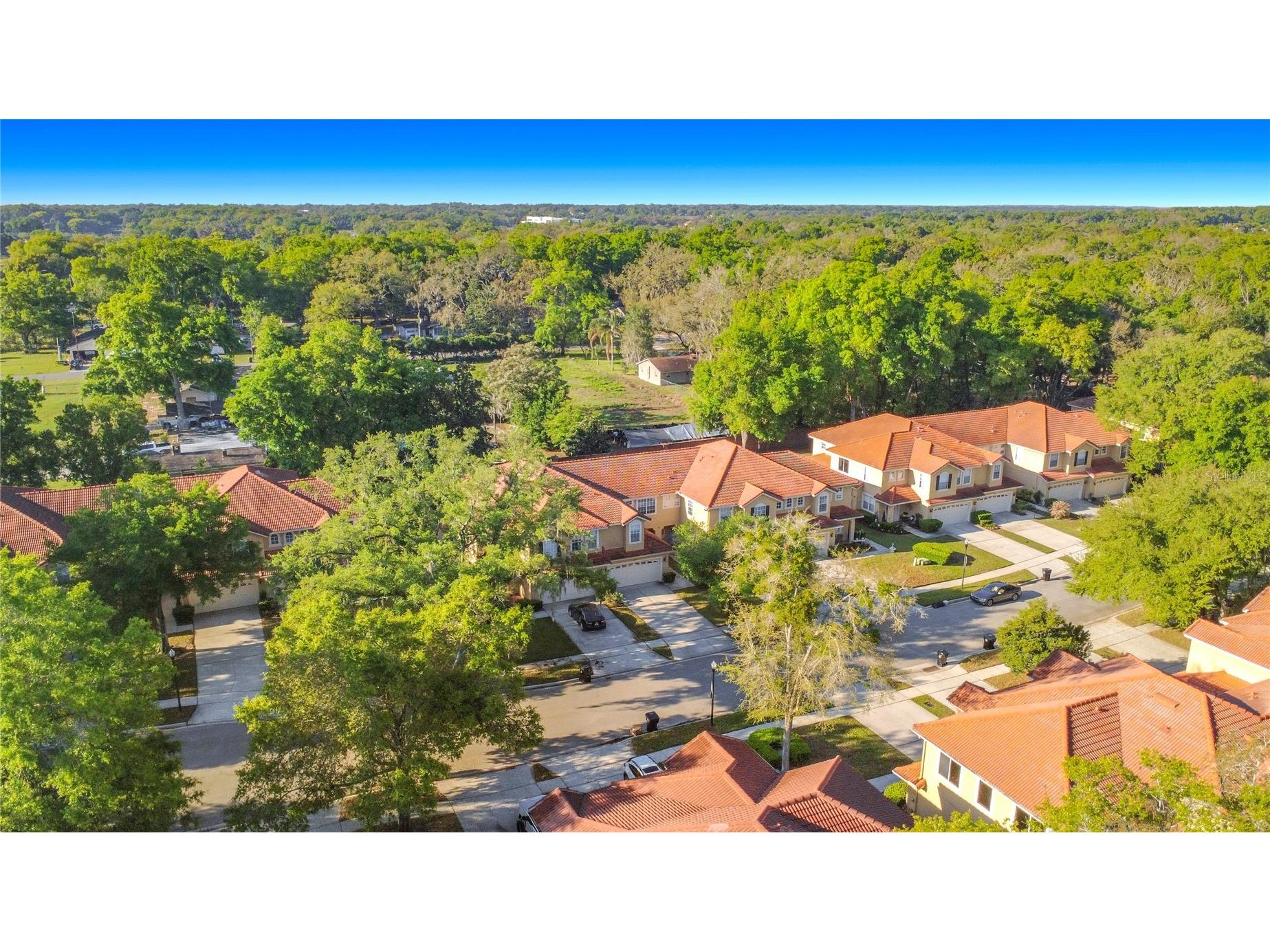 2272 Wekiva Village Lane Apopka FL 32703 S5146420 image51