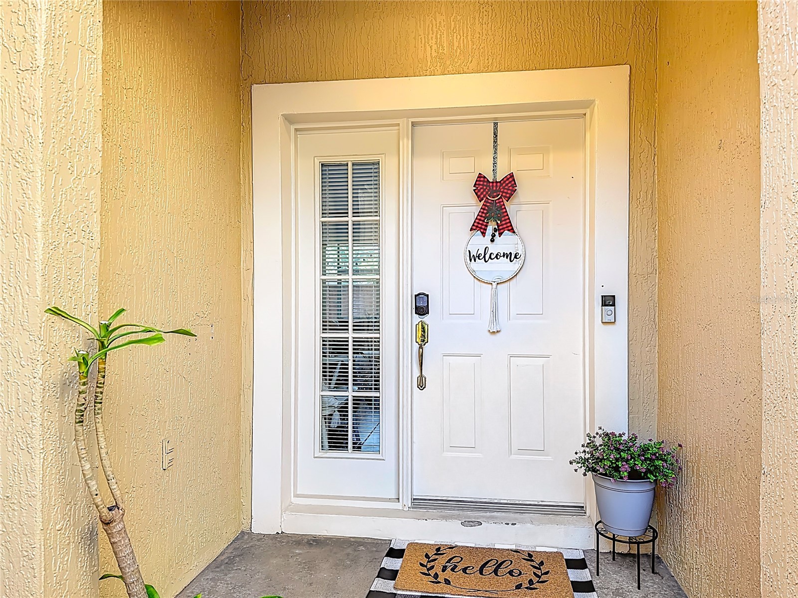 2272 Wekiva Village Lane Apopka FL 32703 S5146420 image6