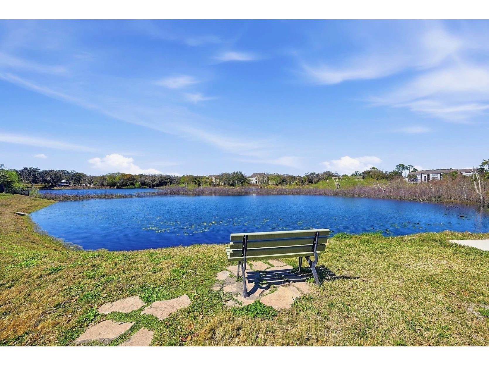 2272 Wekiva Village Lane Apopka FL 32703 S5146420 image61