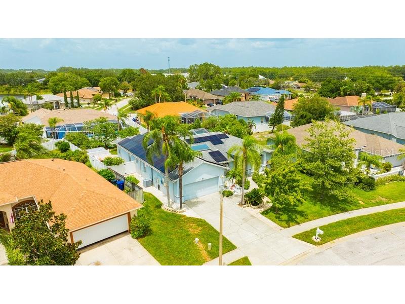 22725 Arborglen Court Lutz FL 33549 T3541193 image1