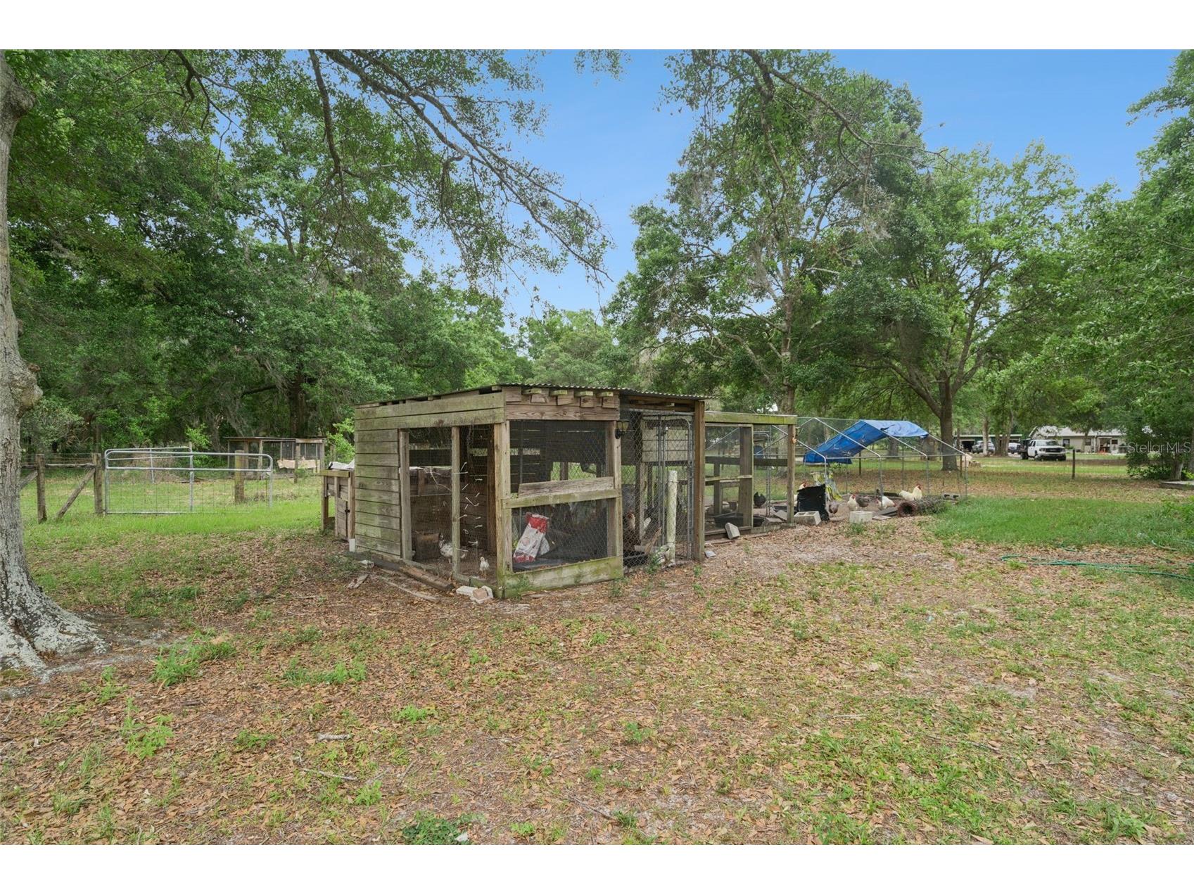22726 Winterwillow Lane Eustis FL 32736 O6399871 image33