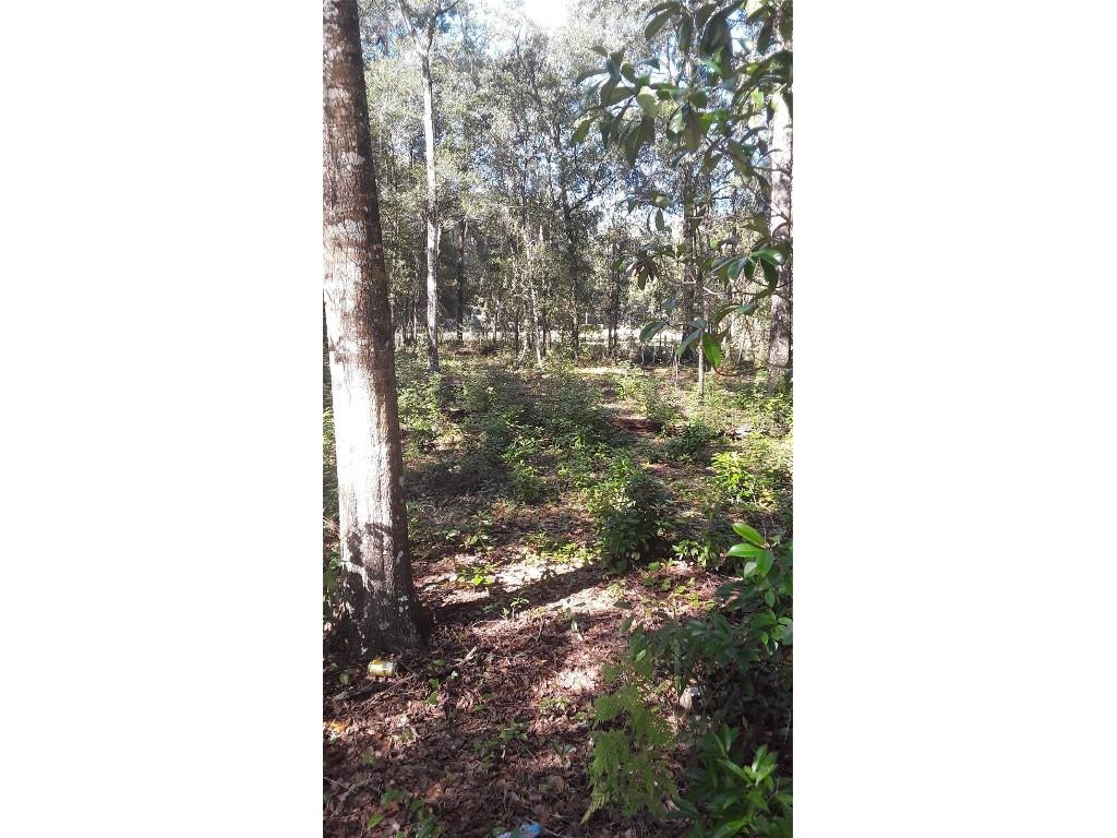 22733 NE 114th Avenue Fort Mc Coy FL 32134 OM704675 image1