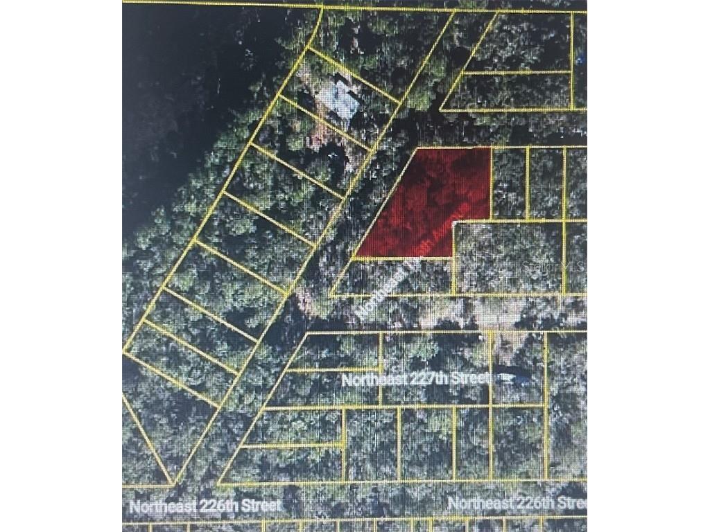22733 NE 115th Avenue Fort Mc Coy FL 32134 OM711824 image1