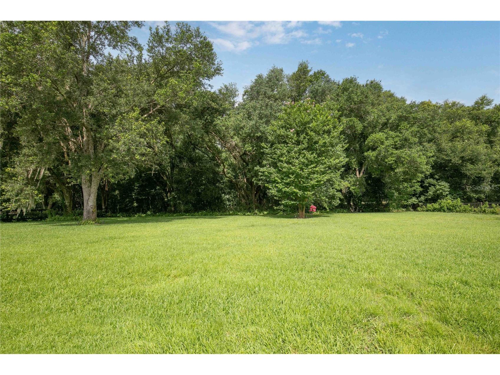 22733 Stallion Drive Sorrento FL 32776 O6410891 image34