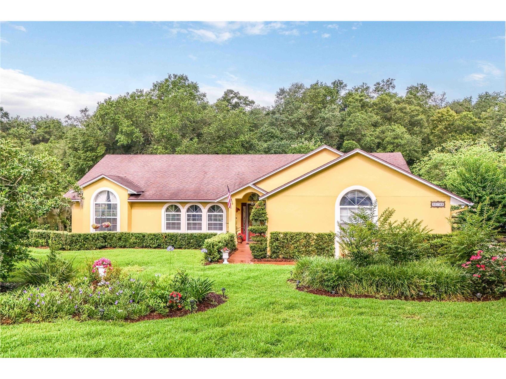 22733 Stallion Drive Sorrento FL 32776 O6410891 image39