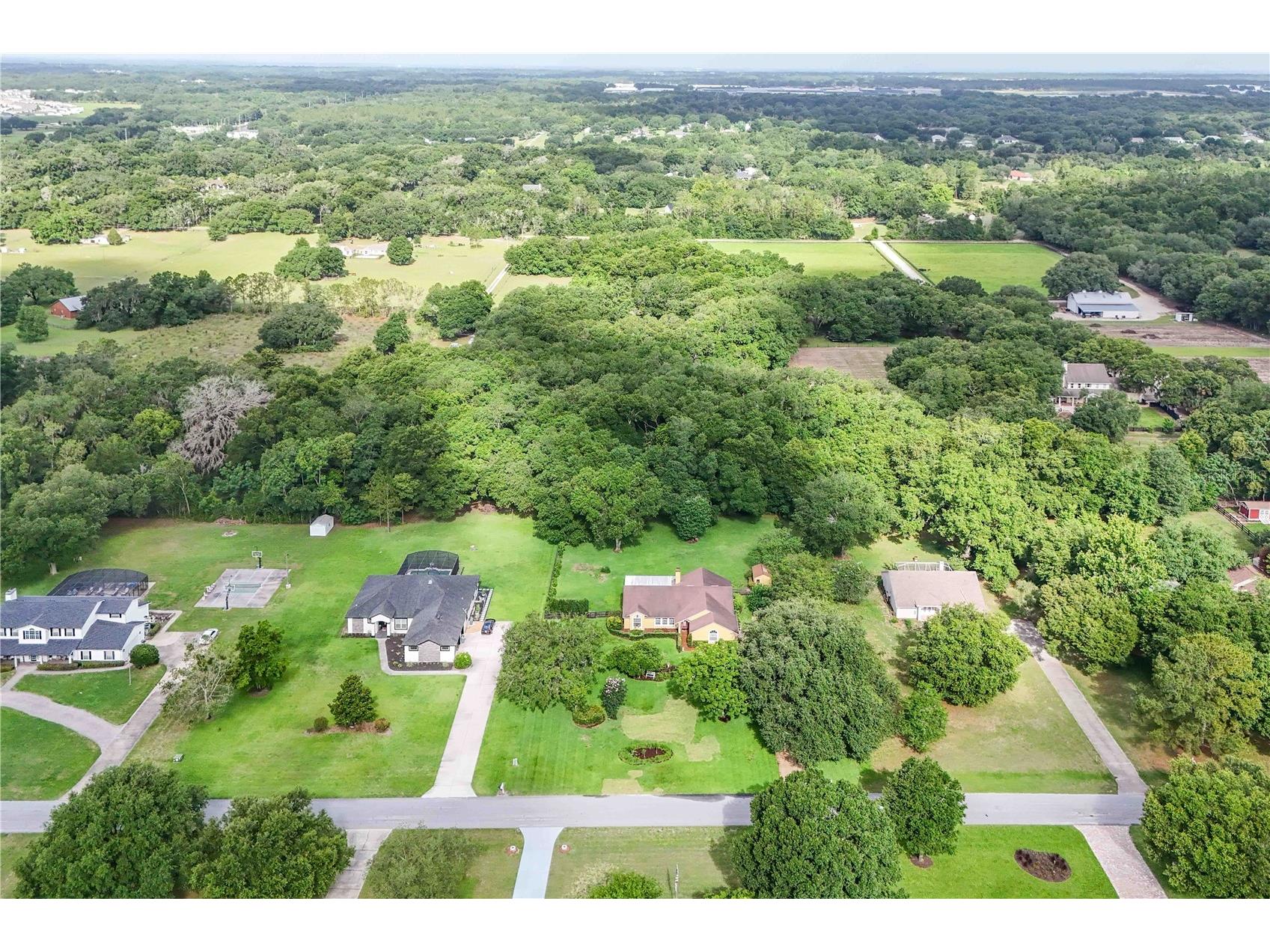 22733 Stallion Drive Sorrento FL 32776 O6410891 image45
