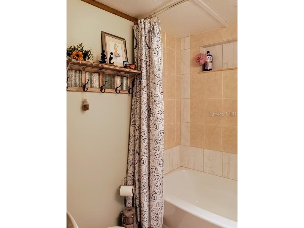 22736 SW 117th Street Dunnellon FL 34431 OM702115 image23