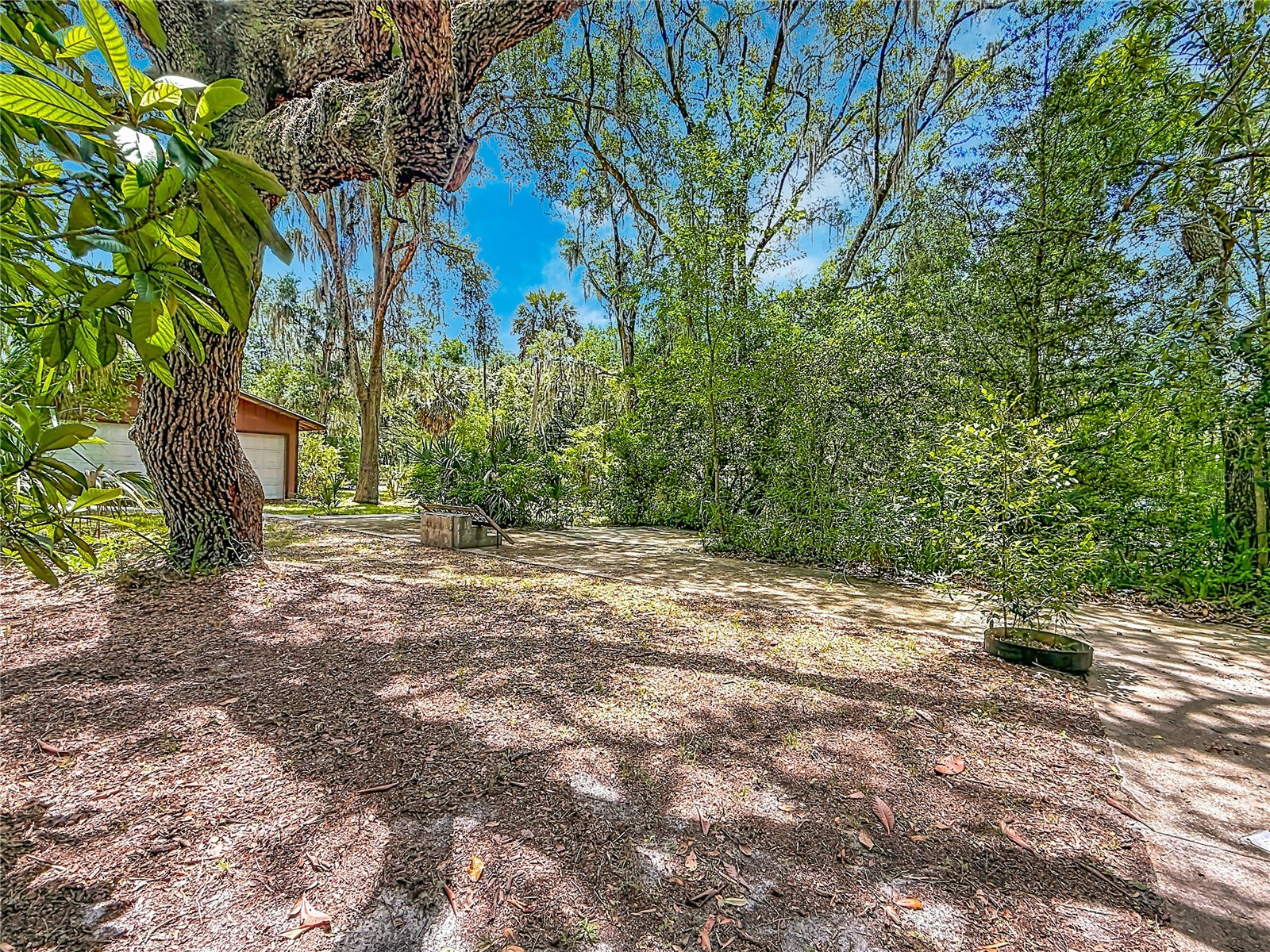 22736 SW 117th Street Dunnellon FL 34431 OM724908 image18