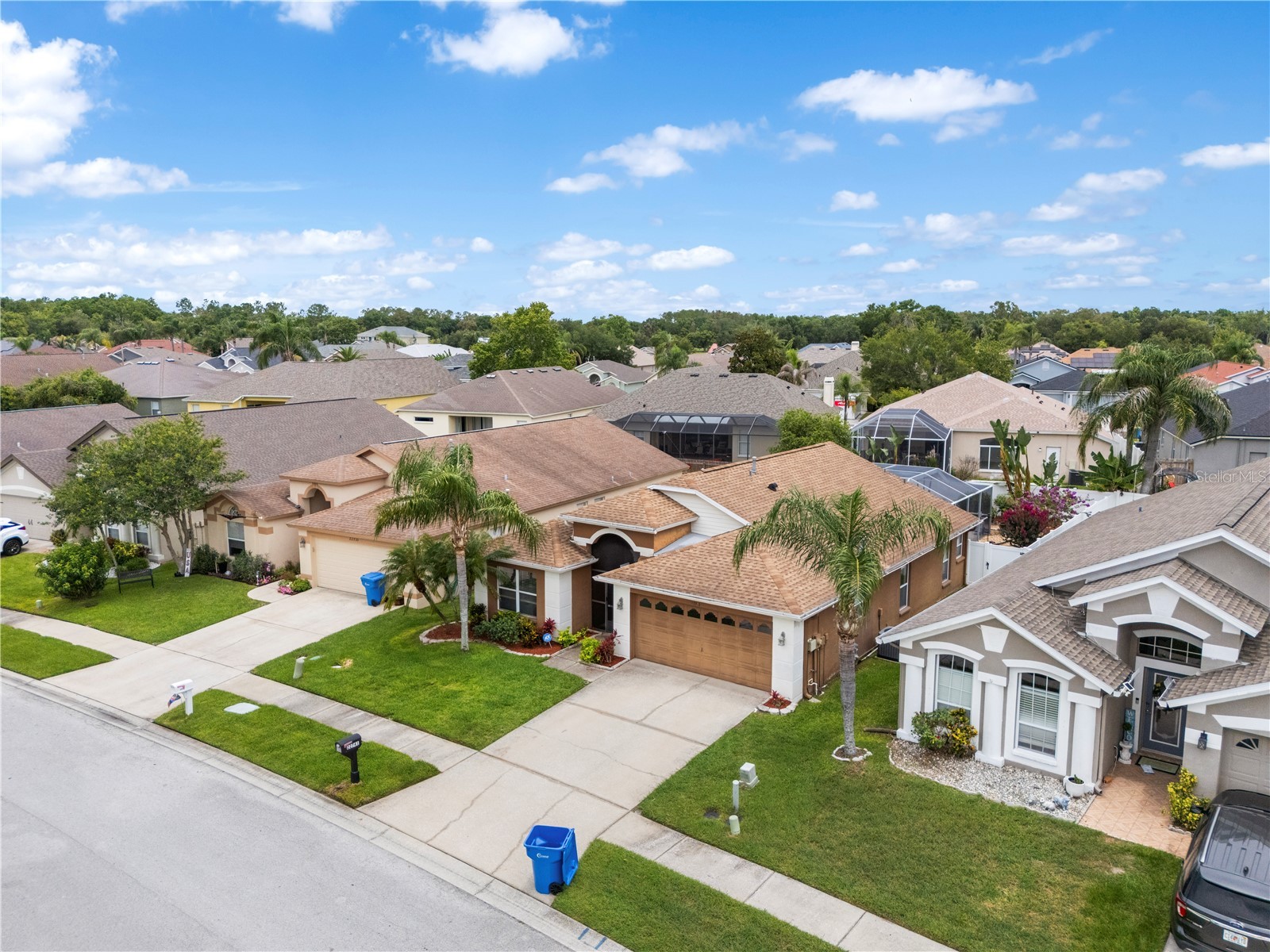 22741 Roderick Drive Land O Lakes FL 34639 TB8517960 image38