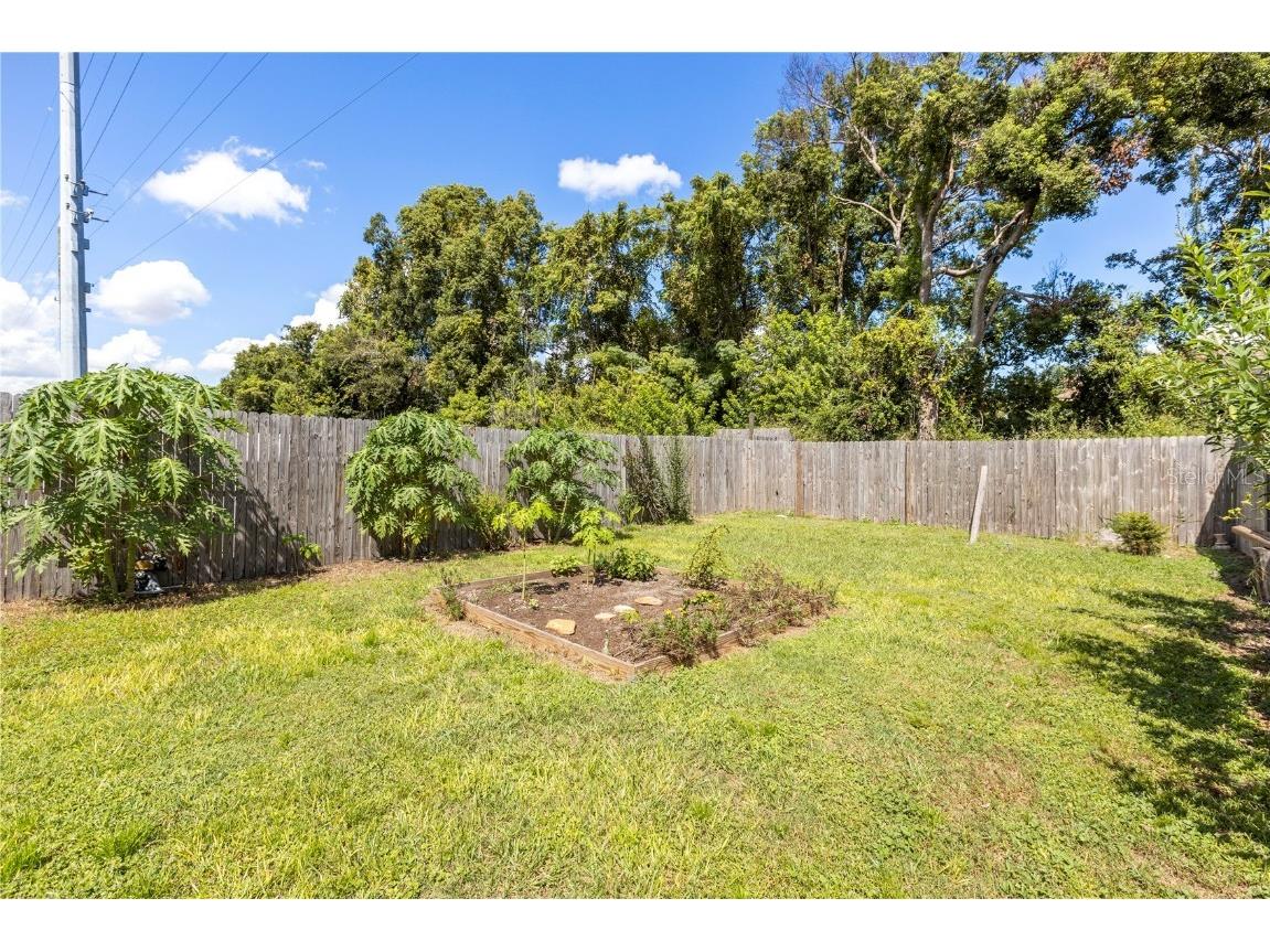 22751 Penny Loop Land O Lakes FL 34639 TB8431558 image21