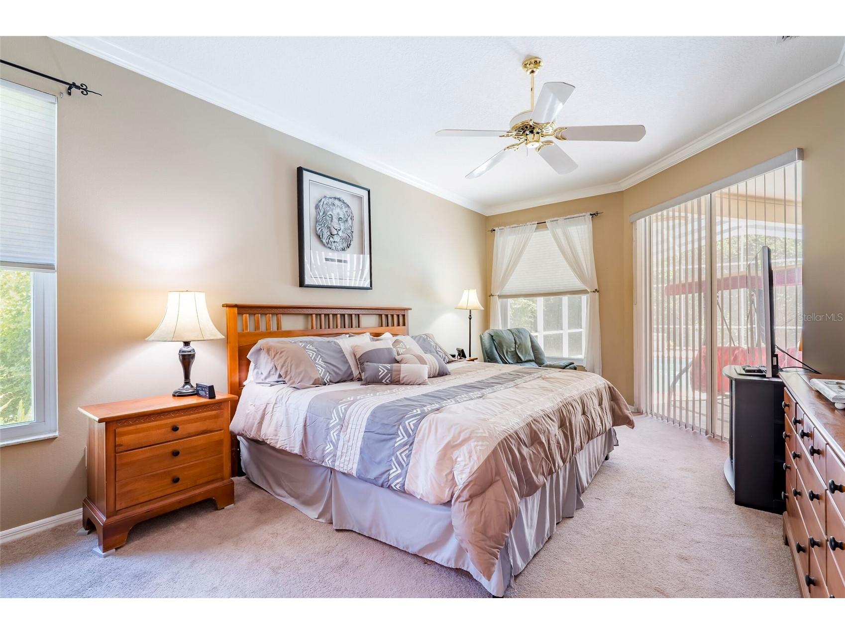 22754 Magnolia Trace Boulevard Lutz FL 33549 TB8508831 image10