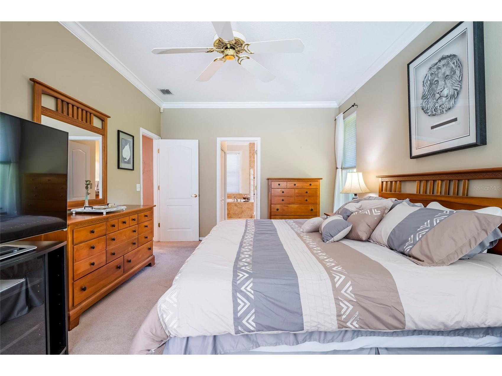 22754 Magnolia Trace Boulevard Lutz FL 33549 TB8508831 image13