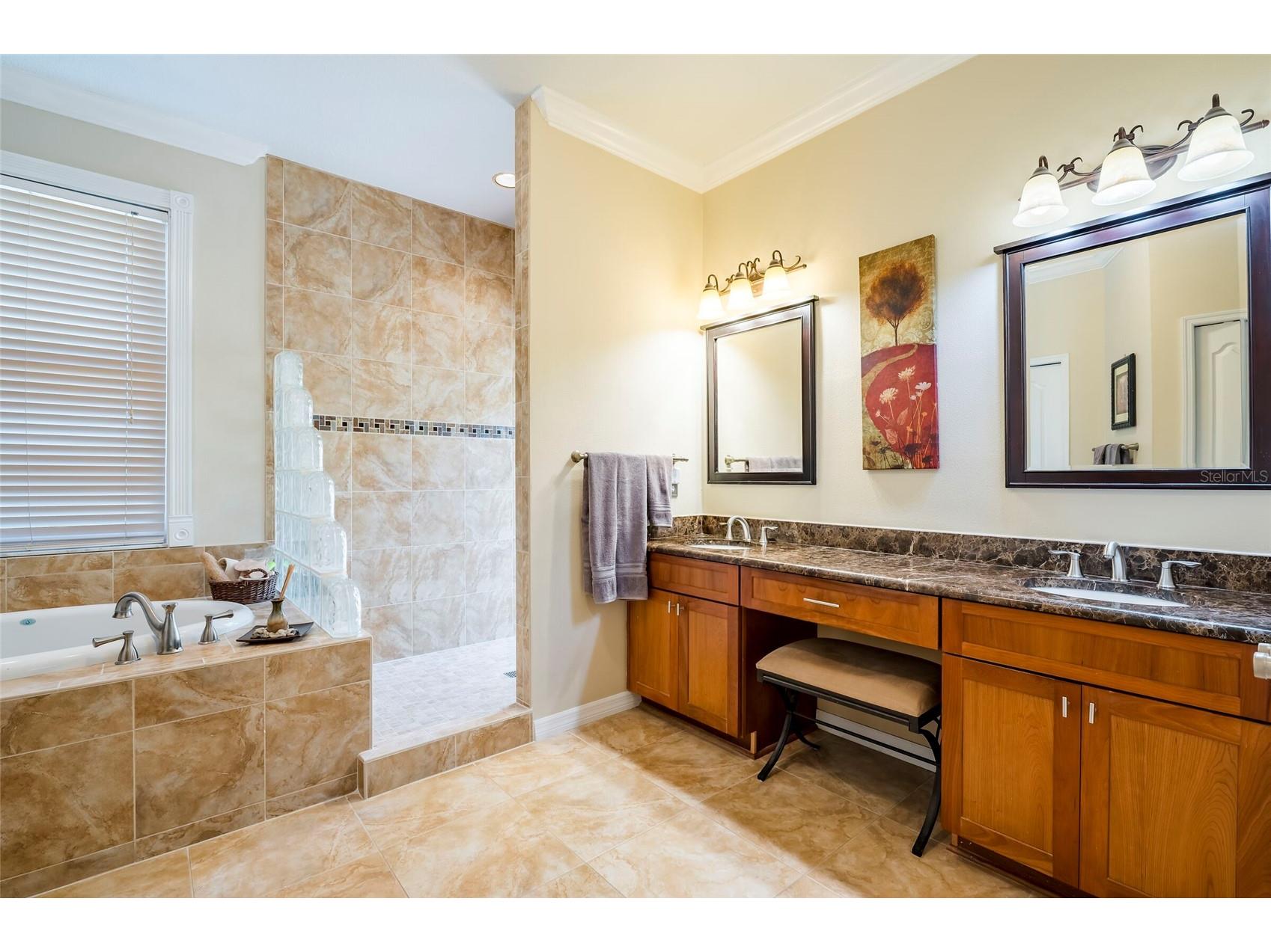 22754 Magnolia Trace Boulevard Lutz FL 33549 TB8508831 image14