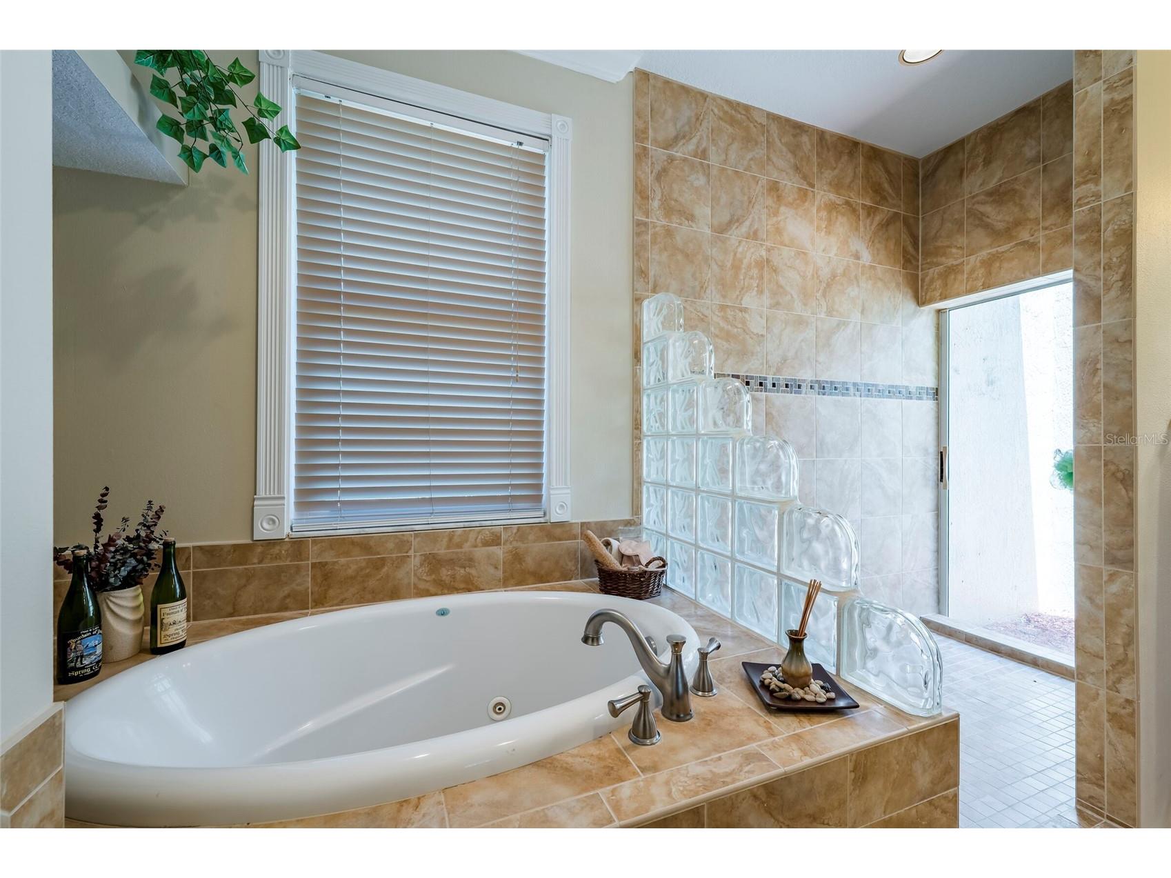 22754 Magnolia Trace Boulevard Lutz FL 33549 TB8508831 image16