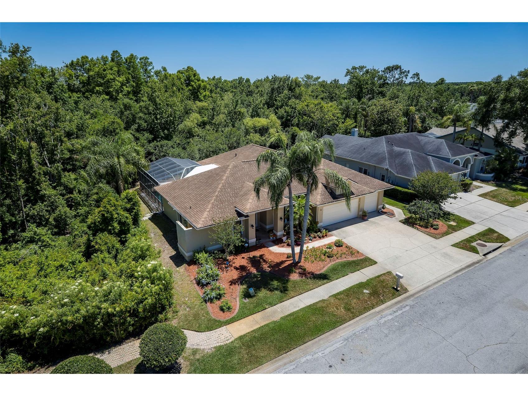 22754 Magnolia Trace Boulevard Lutz FL 33549 TB8508831 image53