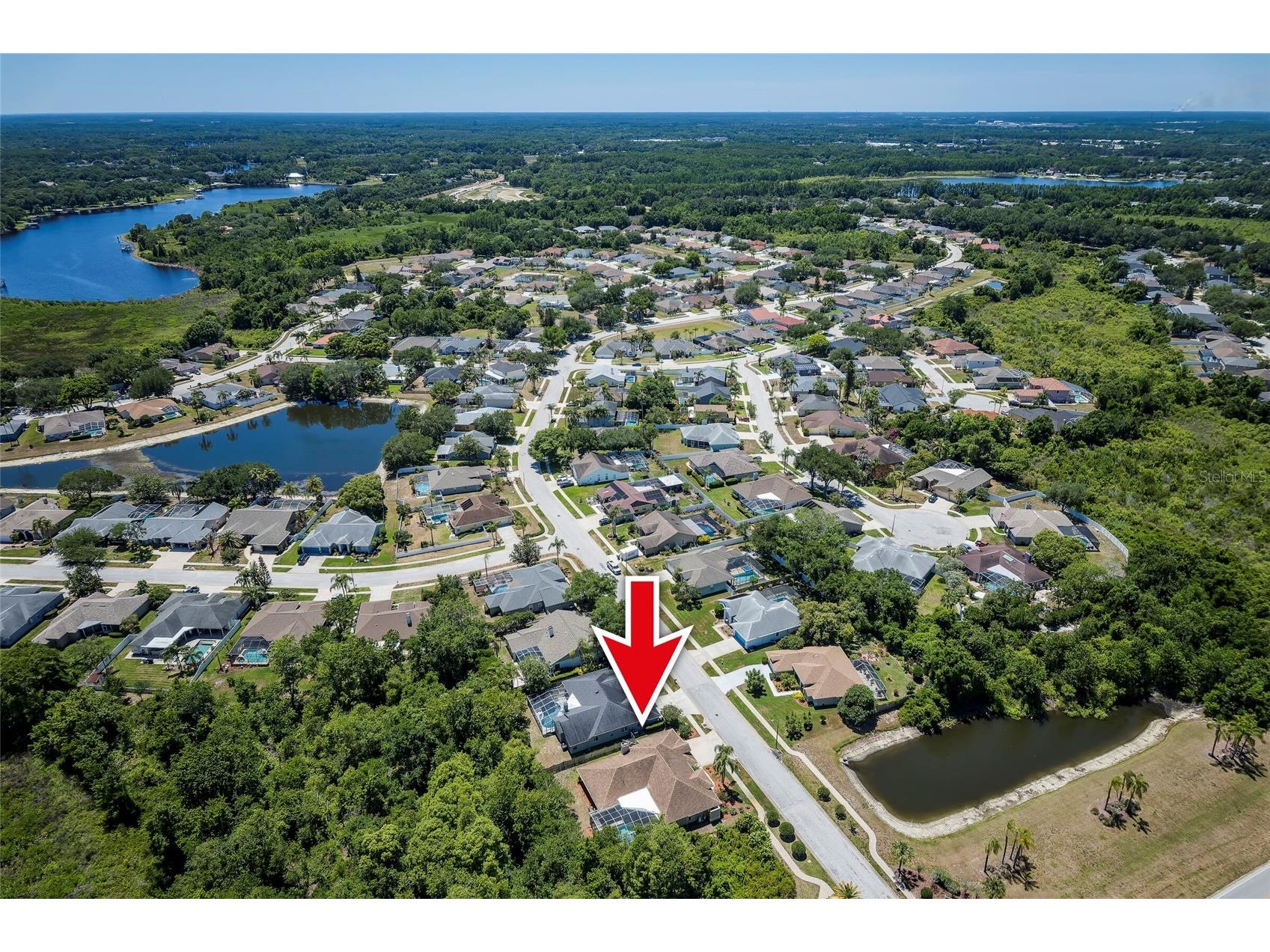 22754 Magnolia Trace Boulevard Lutz FL 33549 TB8508831 image54