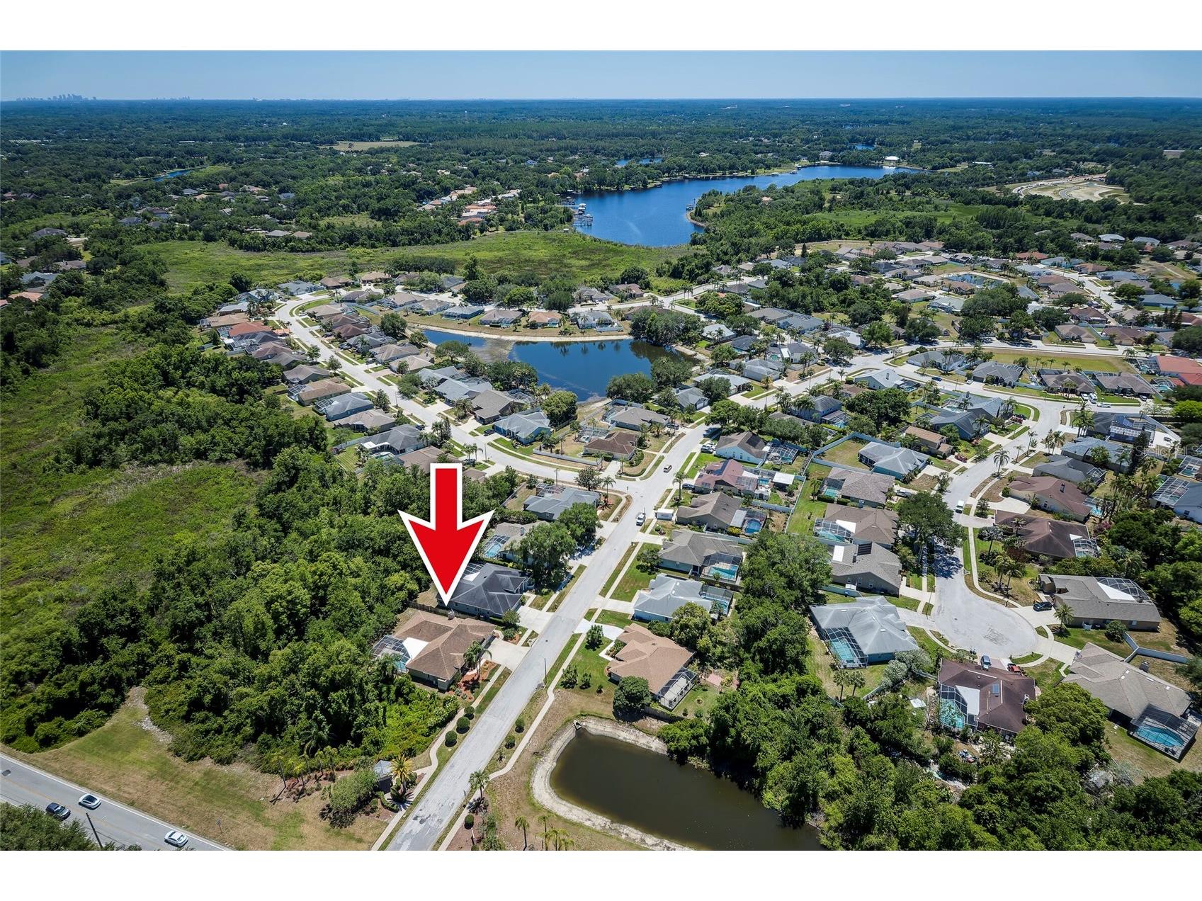 22754 Magnolia Trace Boulevard Lutz FL 33549 TB8508831 image55