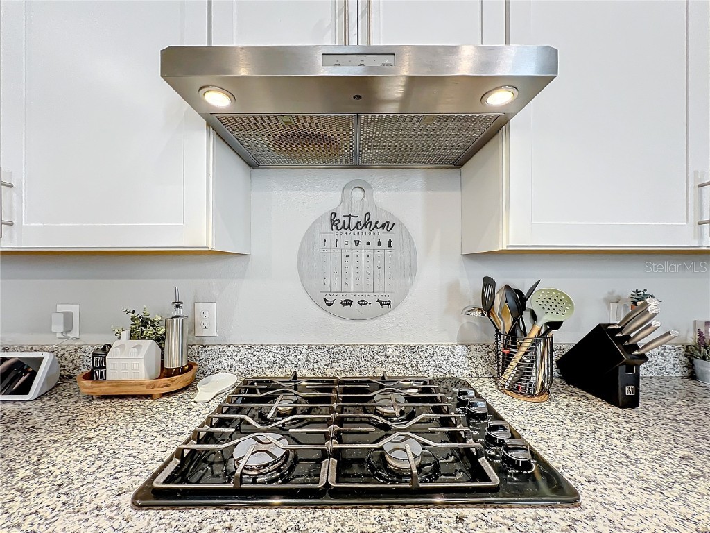 2276 Emerald Springs Drive Apopka FL 32712 O6364624 image9