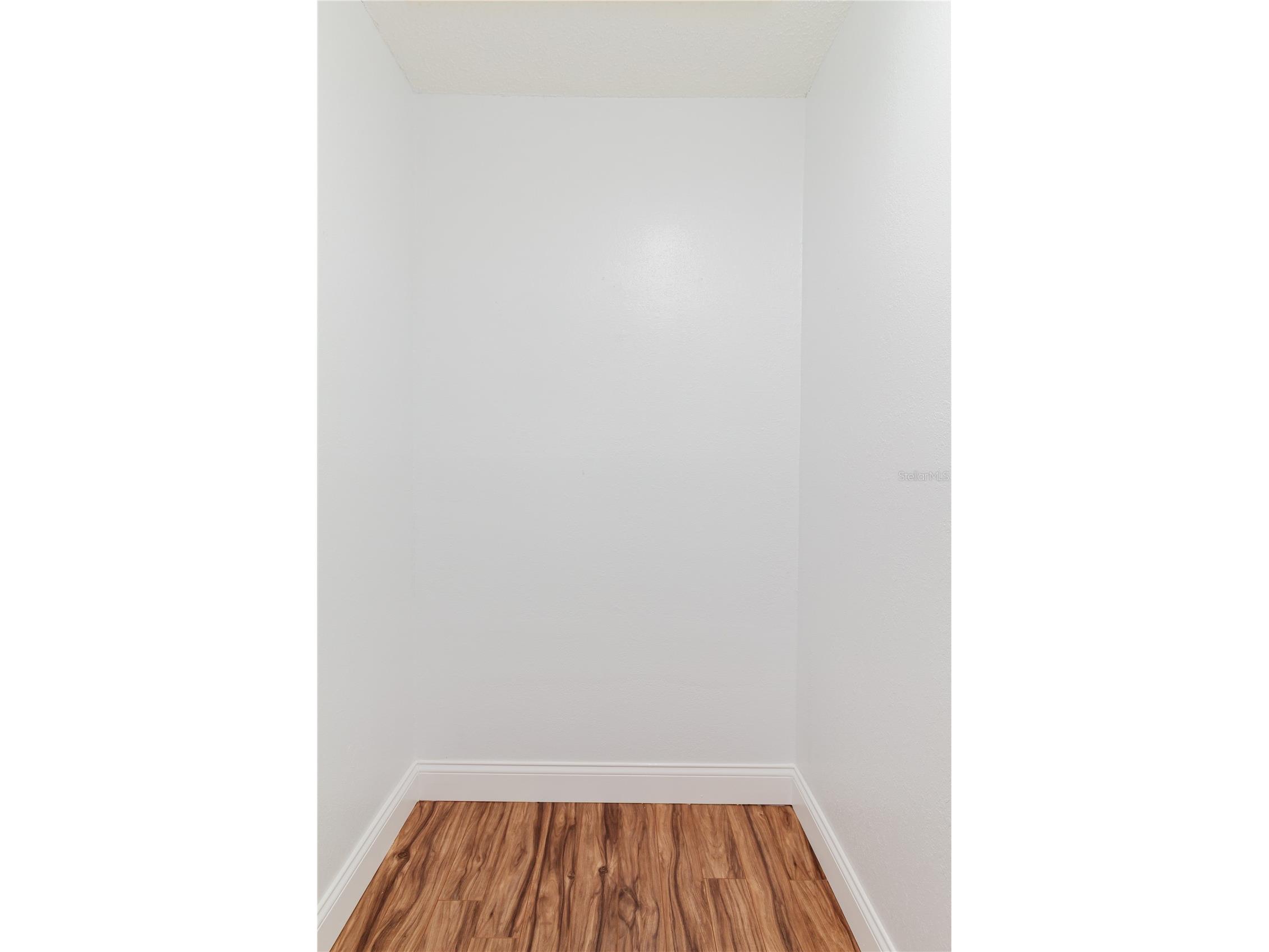 2276 Tamarron Terrace Palm Harbor FL 34683 TB8504878 image28