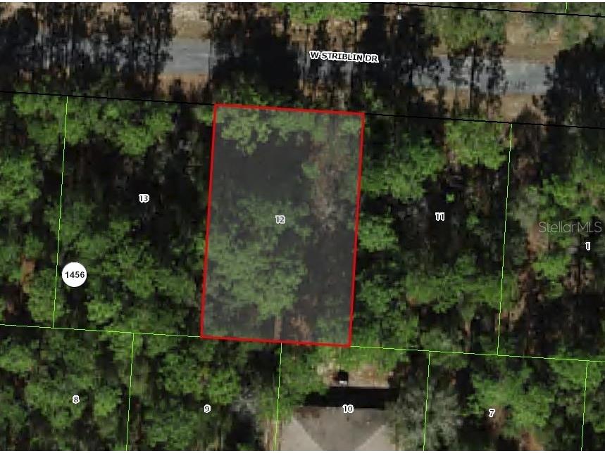 2276 W Striblin Drive Citrus Springs FL 34434 O6162404 image1